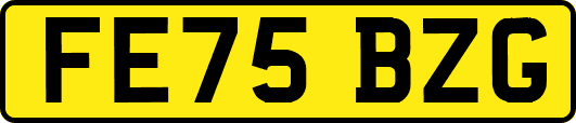 FE75BZG