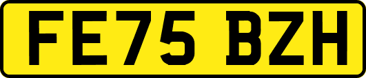 FE75BZH