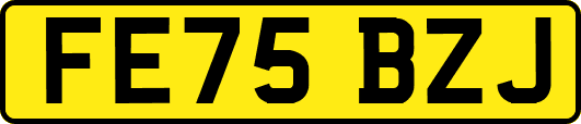 FE75BZJ