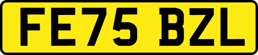 FE75BZL