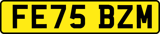 FE75BZM
