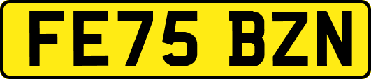 FE75BZN