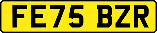 FE75BZR