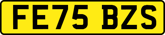 FE75BZS