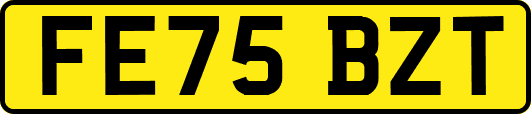 FE75BZT
