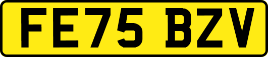 FE75BZV