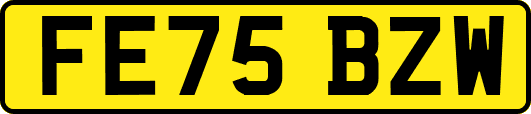 FE75BZW