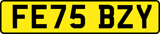 FE75BZY