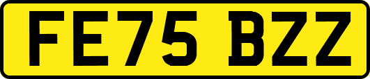 FE75BZZ