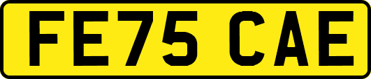 FE75CAE