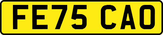 FE75CAO