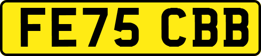 FE75CBB