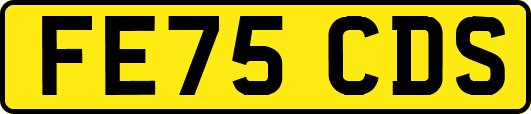 FE75CDS