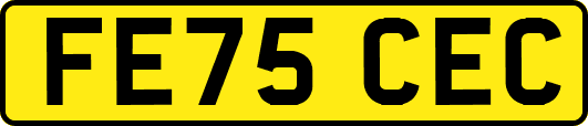FE75CEC