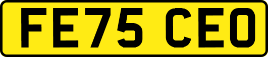 FE75CEO