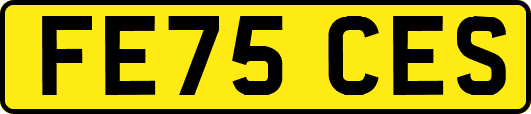 FE75CES