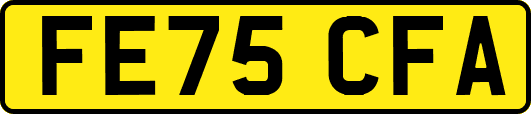 FE75CFA