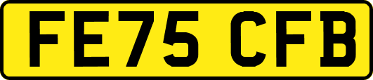 FE75CFB
