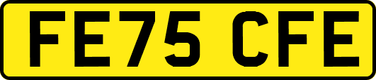 FE75CFE