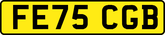 FE75CGB