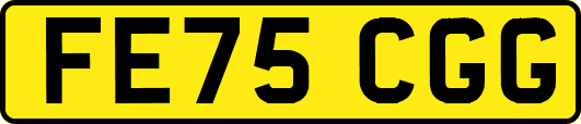 FE75CGG