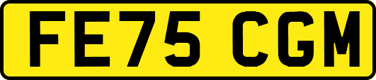 FE75CGM