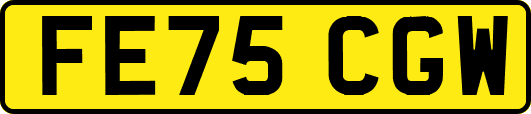 FE75CGW