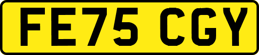 FE75CGY