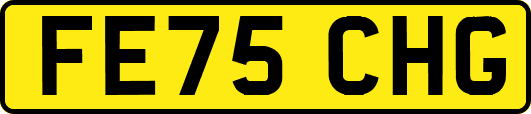 FE75CHG