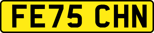 FE75CHN