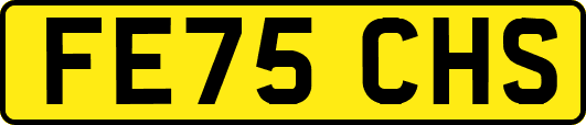 FE75CHS