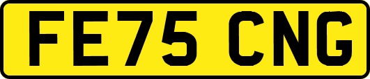 FE75CNG