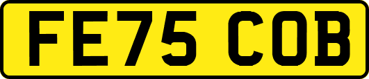 FE75COB