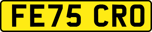 FE75CRO