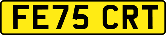 FE75CRT