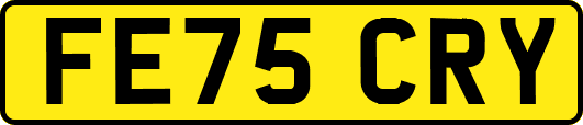FE75CRY
