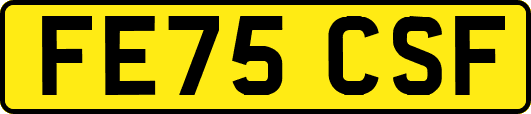 FE75CSF