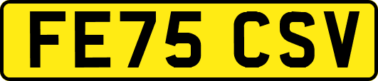 FE75CSV