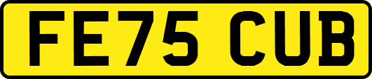 FE75CUB