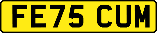 FE75CUM