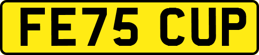 FE75CUP