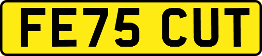 FE75CUT