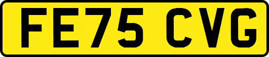 FE75CVG