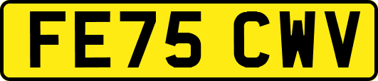 FE75CWV