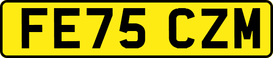 FE75CZM