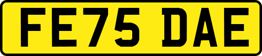 FE75DAE