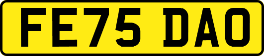 FE75DAO