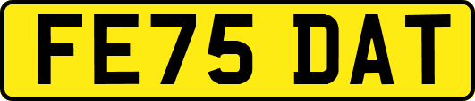 FE75DAT