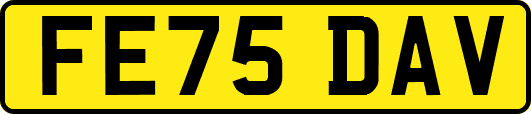FE75DAV