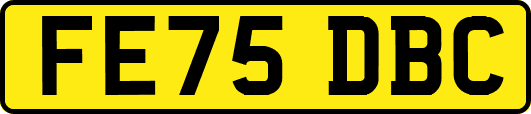 FE75DBC